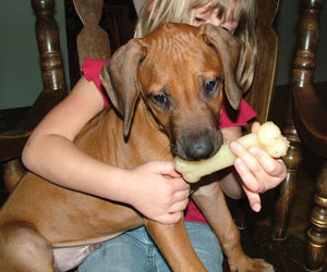 RogueRiver Chamba Rowdy Boy of Kandu