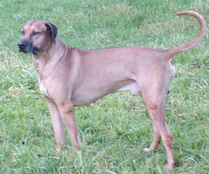 King Khufu having fun.