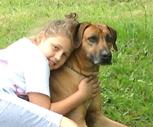 ApacheRidge Ranch Ridgebacks Oscar in Oregon