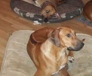 ApacheRidge's Indian Heavens Sooxie