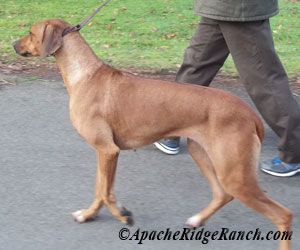 ApacheRidge's Indian Heavens Sooxie