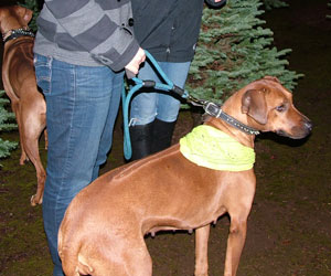 ApacheRidges Sunga Ma'at of The Nile