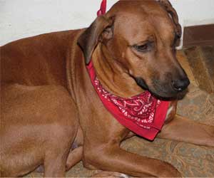 ApacheRidges Sunga Ma'at of The Nile